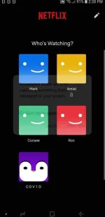 Screenshot_2020-12-12_143813.webp