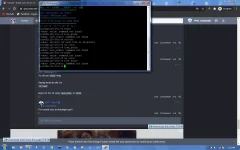 1607928747147.webp
