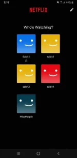 Screenshot_20201214-202821_Nétflí×.webp
