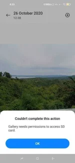 131631195_390330192051319_1831858179028432926_n.webp