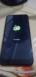 16081037623416092705699493561080.webp
