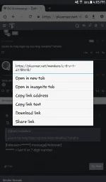 Screenshot_2020-12-20-16-03-12.webp