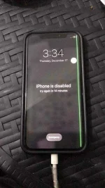 131353829_406887697421745_528129202571244671_n.webp