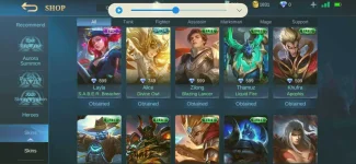 Screenshot_20201223-102052_Mobile Legends Bang Bang.webp