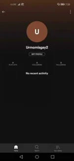 Screenshot_20201229_195803_com.spotify.music.webp