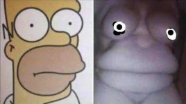 Lookalike.webp