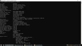 Untitled.webp