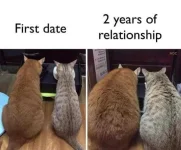 FB_IMG_1609504035164.jpg