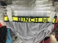 Anong sinabi ng pinshoppe.webp