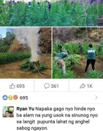 Heaven to Paps.webp