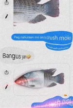 Bangus.webp