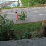 Malunggay.webp