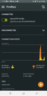 Screenshot_20210118-011013_OpenVPN Connect.webp