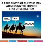 Tala.webp