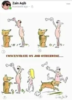 FB_IMG_1611097219922.webp