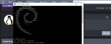 Capture1.webp