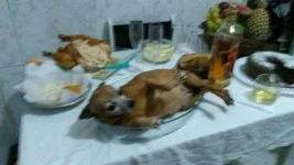 Ala ng lechon.webp