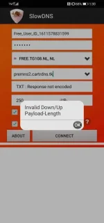 Screenshot_20210126_133030_com.in.troiddns.webp