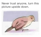 FB_IMG_1611431066501.jpg
