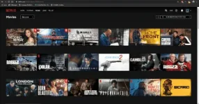 netplex.md.webp