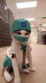 m5ntm7a3z60j.webp