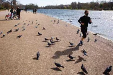 _111388119_jogger.webp _111388119_jogger.webp