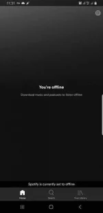 Screenshot_20200429-233114_Spotify.md.webp