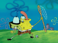 giphy.gif giphy.gif