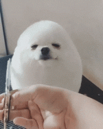 LegalResponsibleCaribou-max-1mb.gif