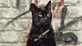 200.gif 200.gif