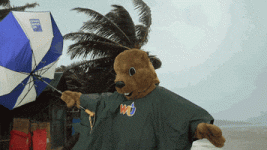 200.gif