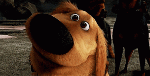 200.gif