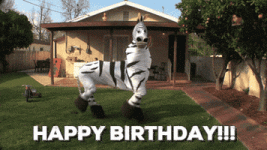 200.gif