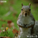 200.gif