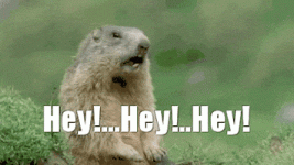 200.gif