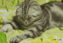 200.gif 200.gif