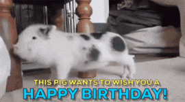 200.gif