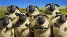 200.gif 200.gif