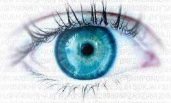 No-Log.webp