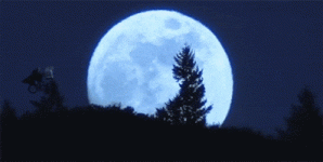 200.gif