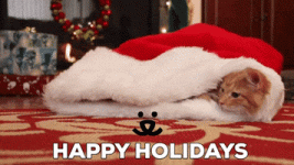 200.gif