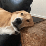 200.gif
