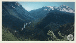 200.gif 200.gif