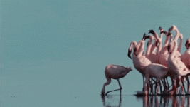 200.gif