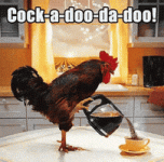 200.gif