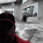 200.gif