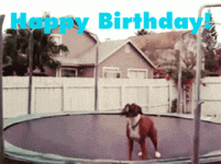 200.gif