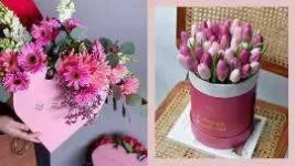 BB1d2tUO.webp