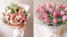 BB1d2lN1.webp