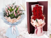 BB1d2oq3.webp